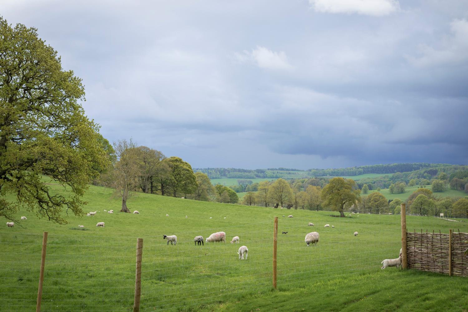 Woodlands Shepherds Hutchatsworth Estate Villa Baslow Buitenkant foto